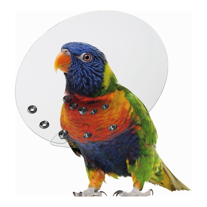 Kong KVP Bird E-Collar, 2-2.75/6" - Image 1